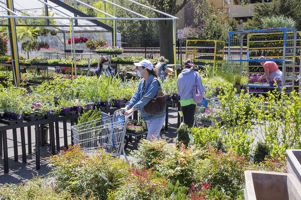 Kirkwood farmers' market 8